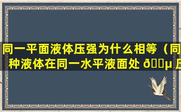 同一平面液体压强为什么相等（同种液体在同一水平液面处 🌵 压强相等）